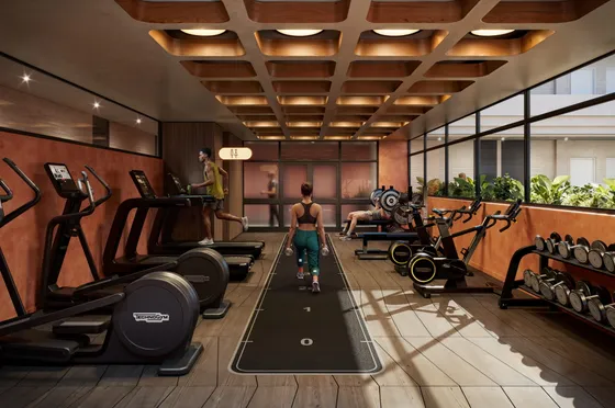 The Gymnasium